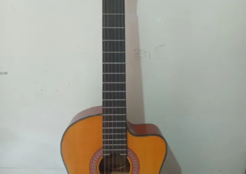 Violão EWA