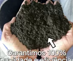 Terra Preta Peneirada e Adubada com Substrato e Carvão