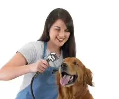 Estamos contratando banhista