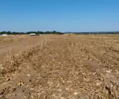 Fazenda de 270 alqueires