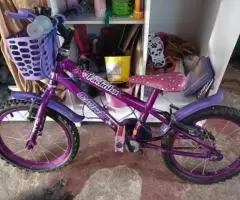 Bicicleta Infantil