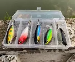 Iscas Importadas - Vibratória