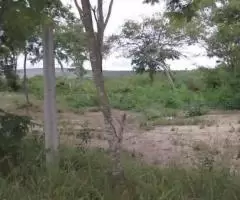 Vende-se Terreno Próximo Ao Haras Villa Real