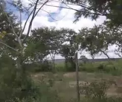 Vende-se Terreno Próximo Ao Haras Villa Real