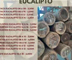 Eucalipto para construção - Várias medidas