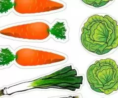 Empregada doméstica