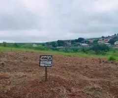 Terreno/lote quitado 364 metros na cidade de Mauá da serra PR rua boa vista