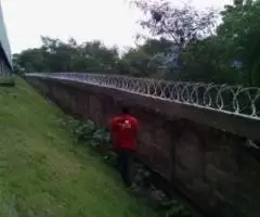 Cercas de concertinas